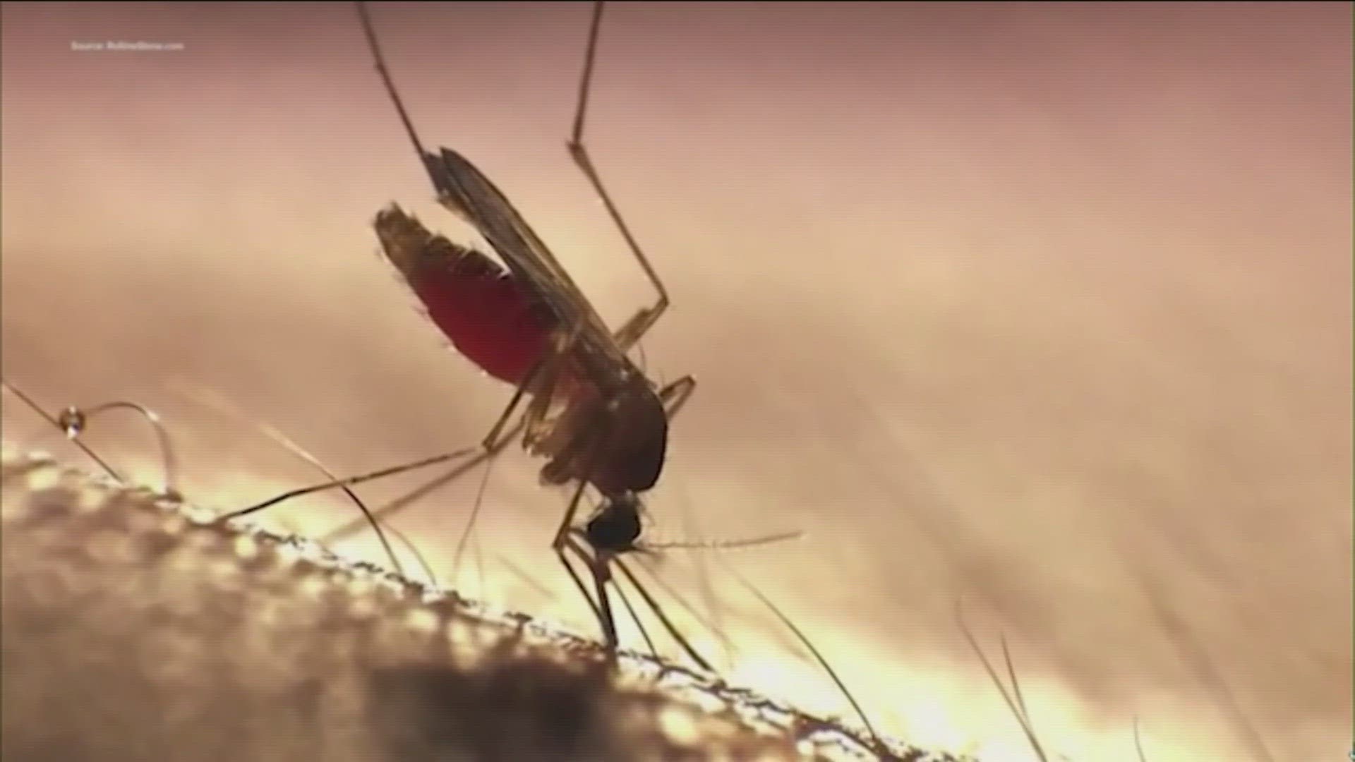Extreme heat in Central Texas means mosquito activity has declined in the area.