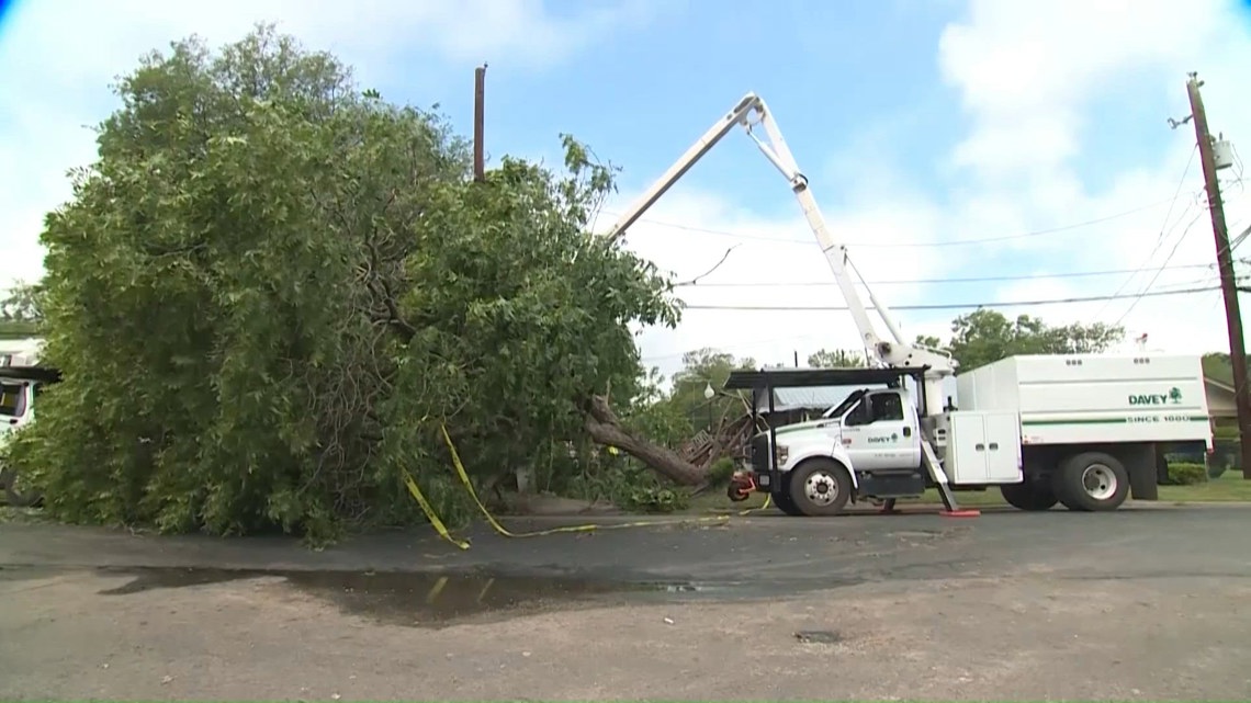Texas lawmakers look for ways to lower rising home, auto insurance costs