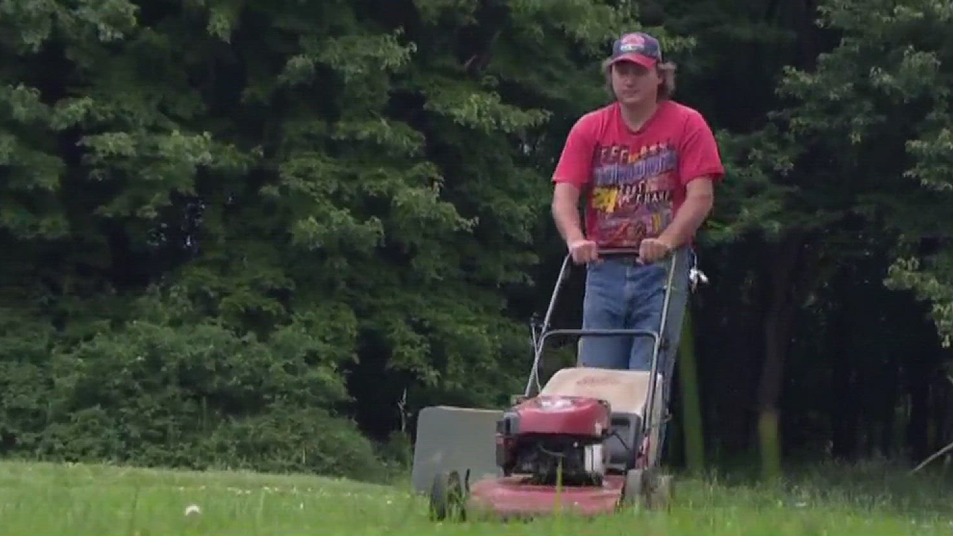 Consumer best sale reports mowers