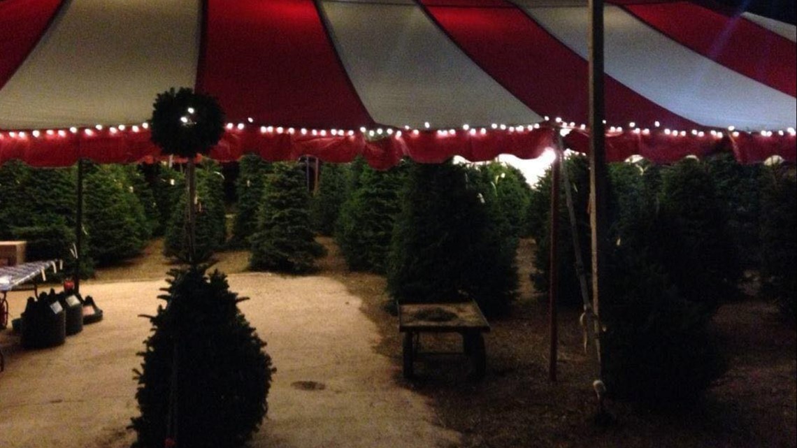 Community helps Dripping Springs Christmas tree lot find new, familiar