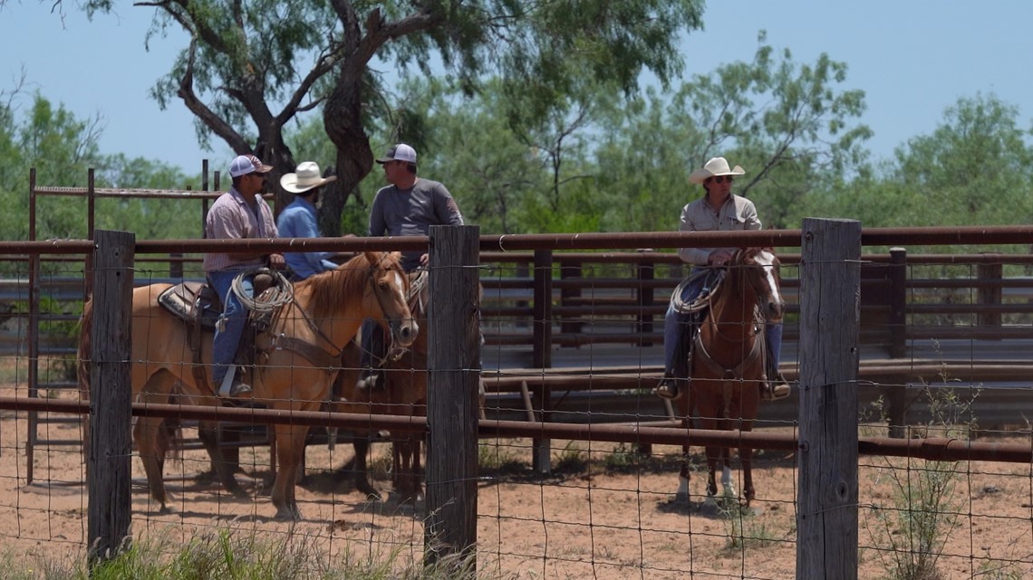 How Texas power regulators must balance landowner rights - Vimarsana News