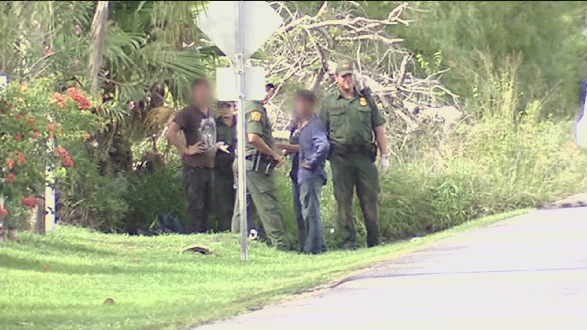 Senate Joint Resolution 1 would've banned judges and magistrates from setting bail for people who entered the U.S. illegally and were charged with felonies. 