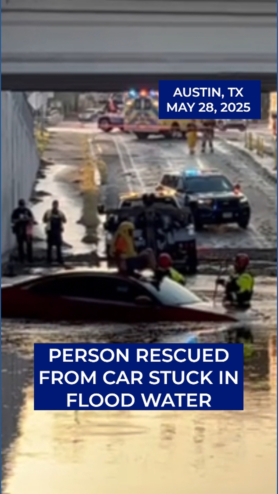 Turn around, don't drown! Person rescued from car stuck in flood water ...