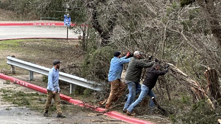 Following ice storm, some Central Texas cities offering tree limb disposal