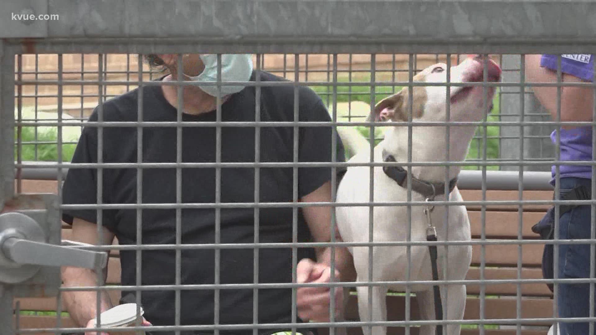 For the first time since last March, Austin Animal Center is opening its doors.