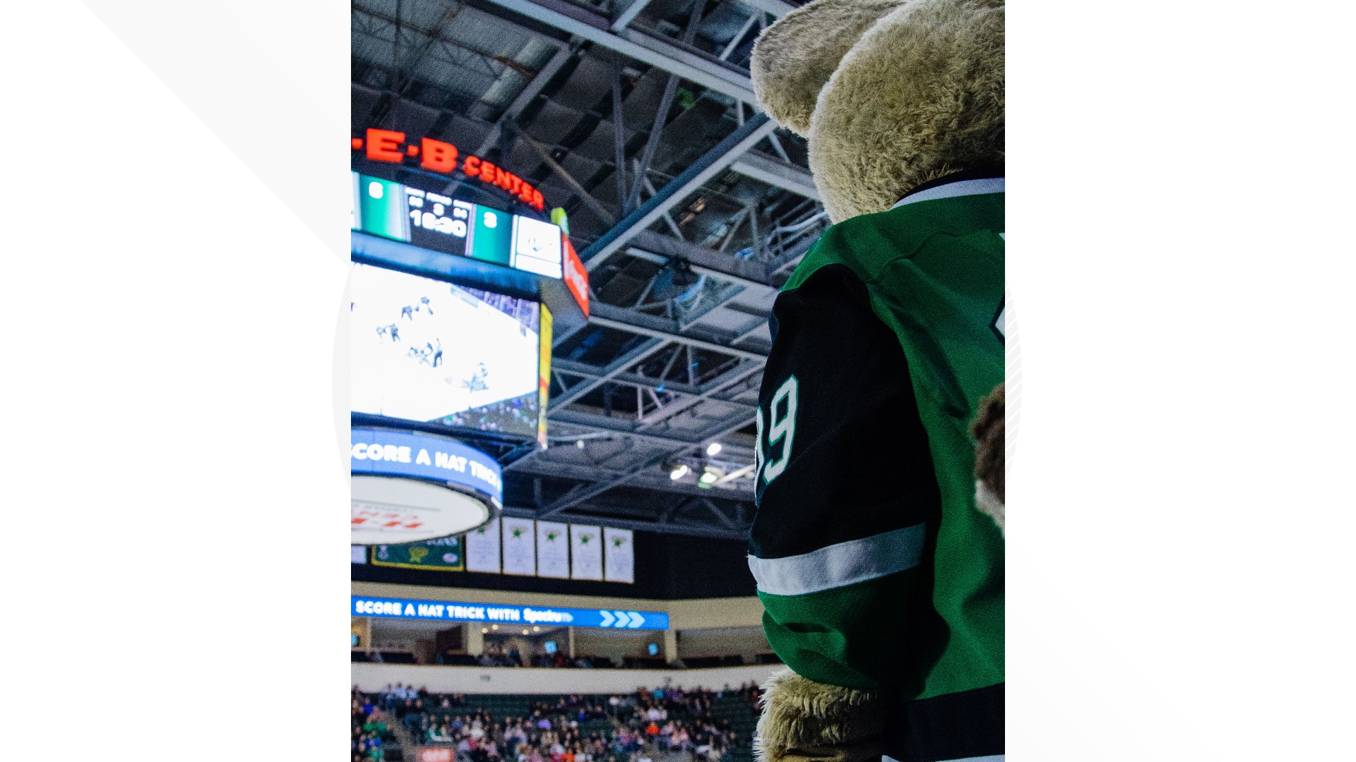 Cedar Park Texas Stars mascot Ringo has one goal | kvue.com