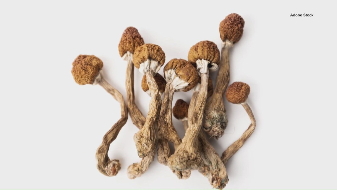 Texas researchers hopeful after Trump executive order aims to expand psychedelic research