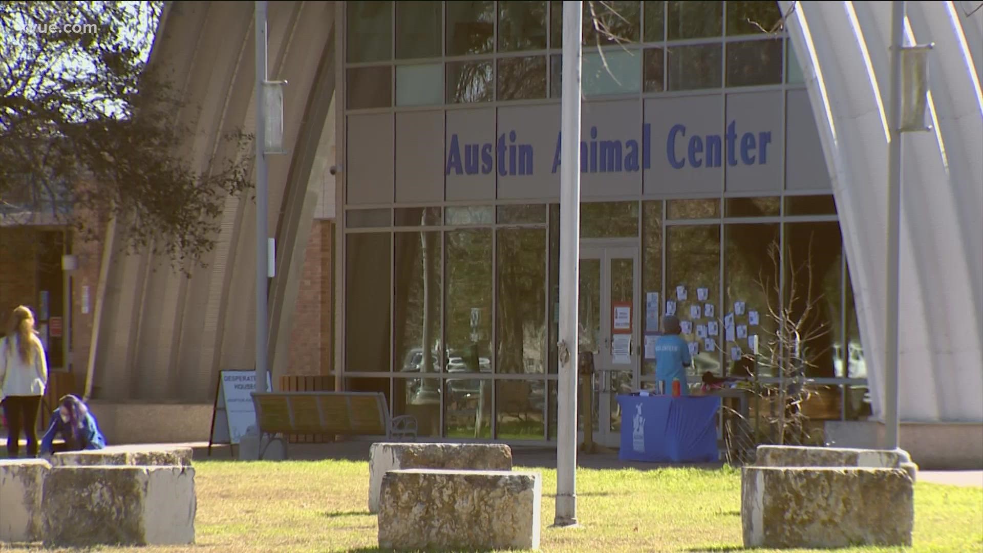 The Austin Animal Center is making adjustments to business hours due to COVID-19 and staffing shortages.