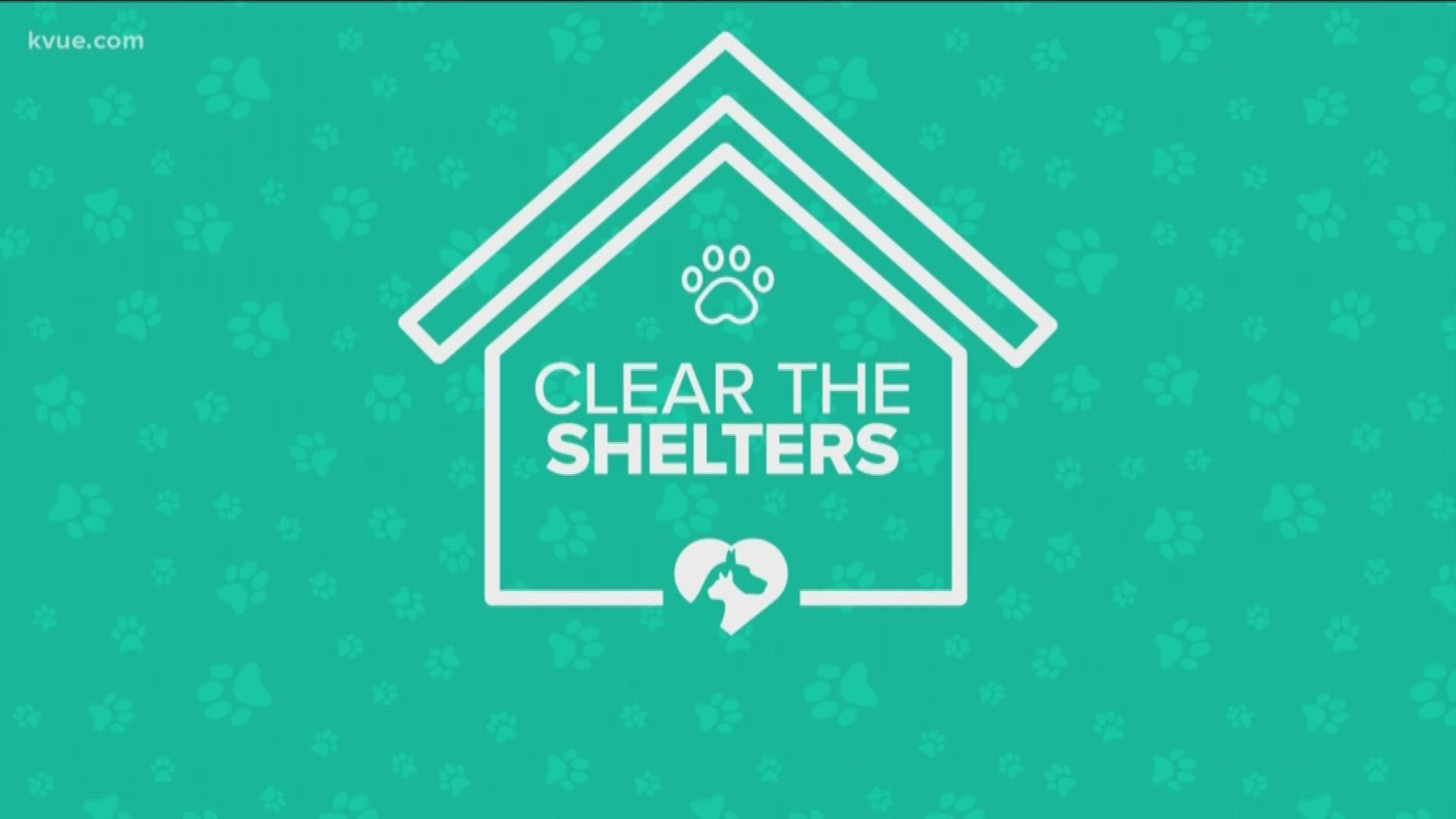 "Clear the Shelters" is a nationwide event aimed at getting as many animals as possible into forever homes.