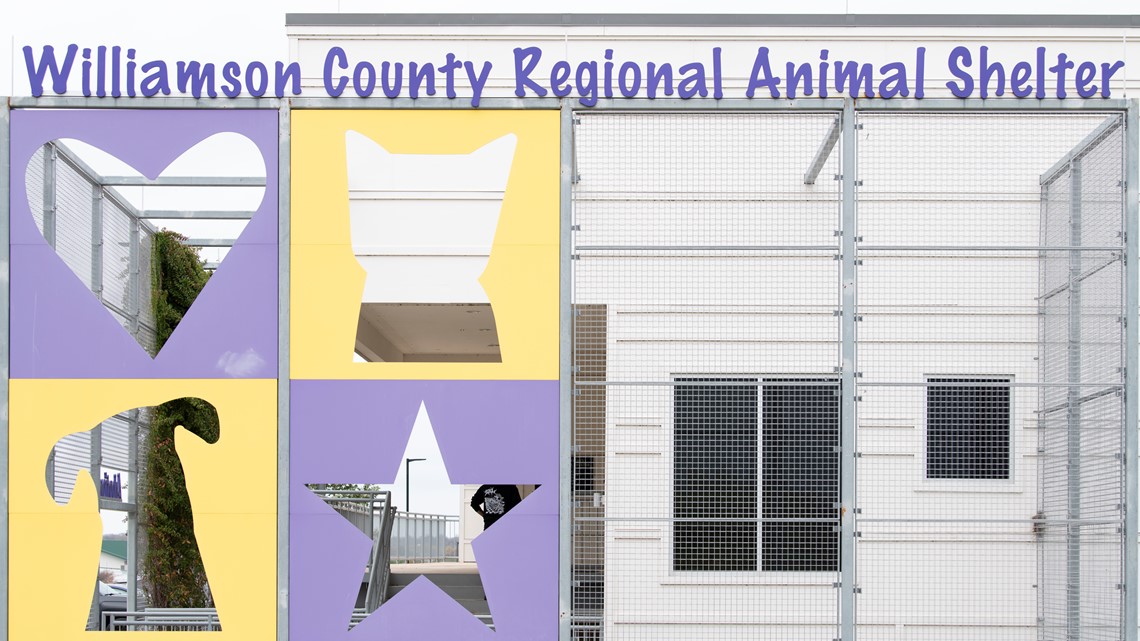Williamson County Regional Animal Shelter reaching critical capacity |  