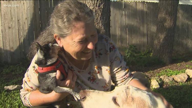 Pay it Forward: Lizzy's Animal Hospice makes sure all dogs have a chance