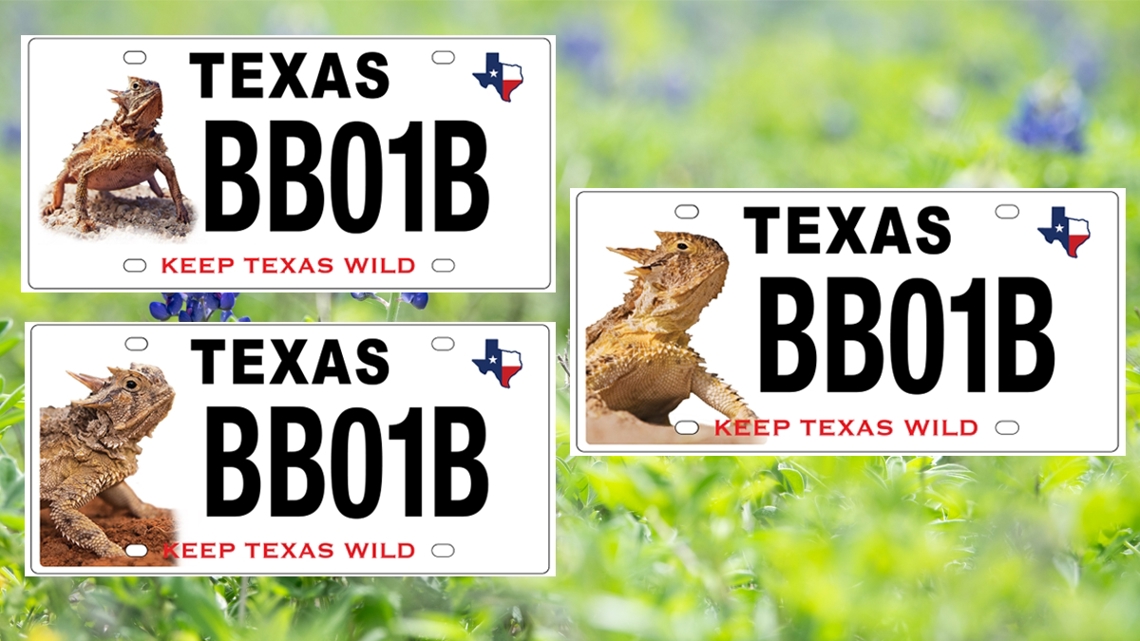 Texans invited to vote on new design for horned lizard license plate