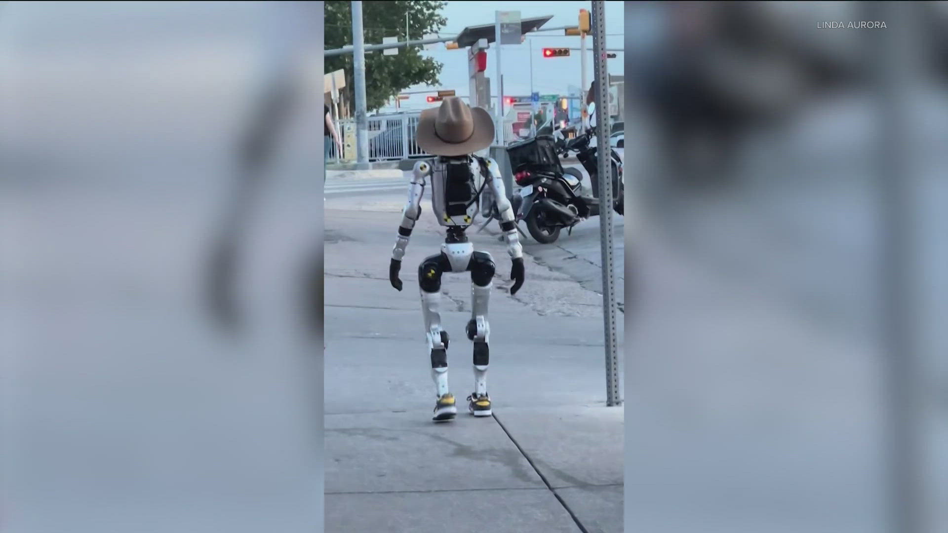 It remains unclear who the robot belongs to, and why it was walking by itself.