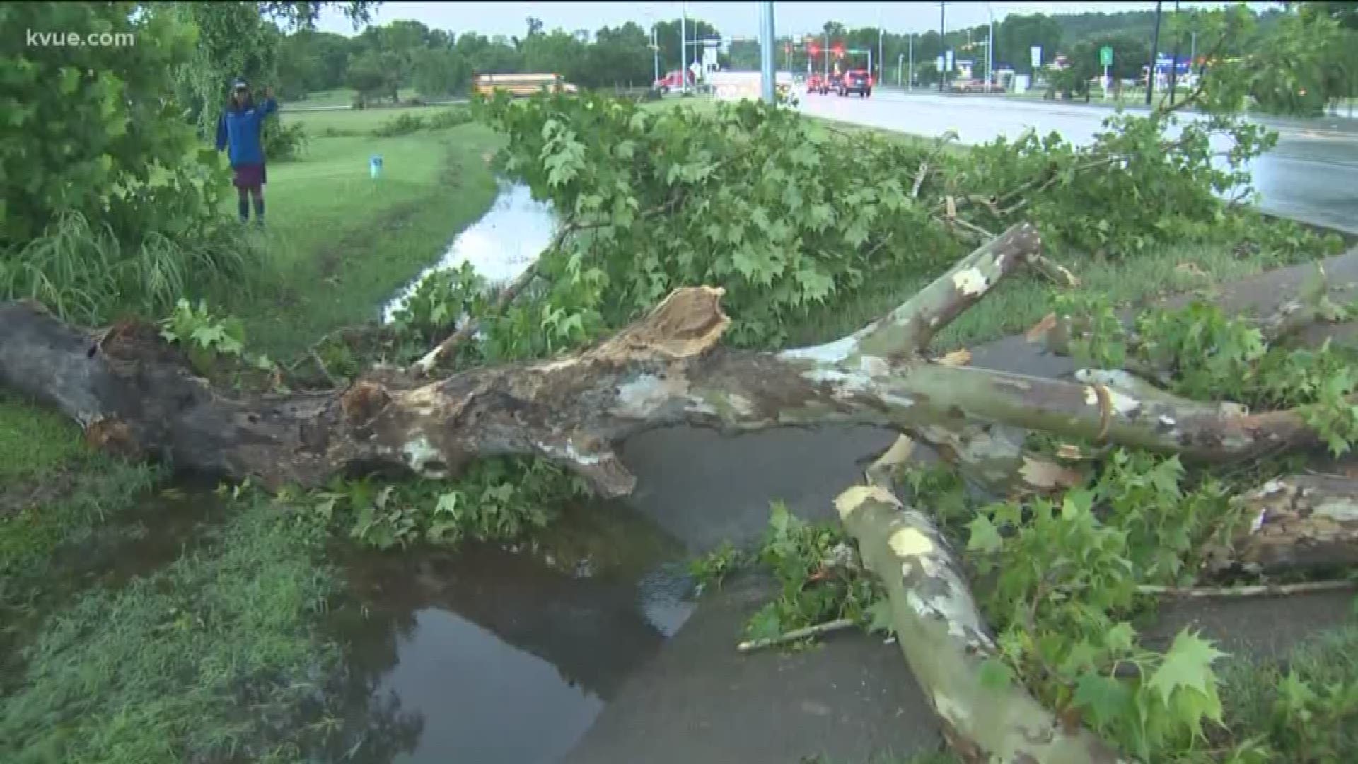 Storms rolled through Central Texas and left damage in the Bastrop area.