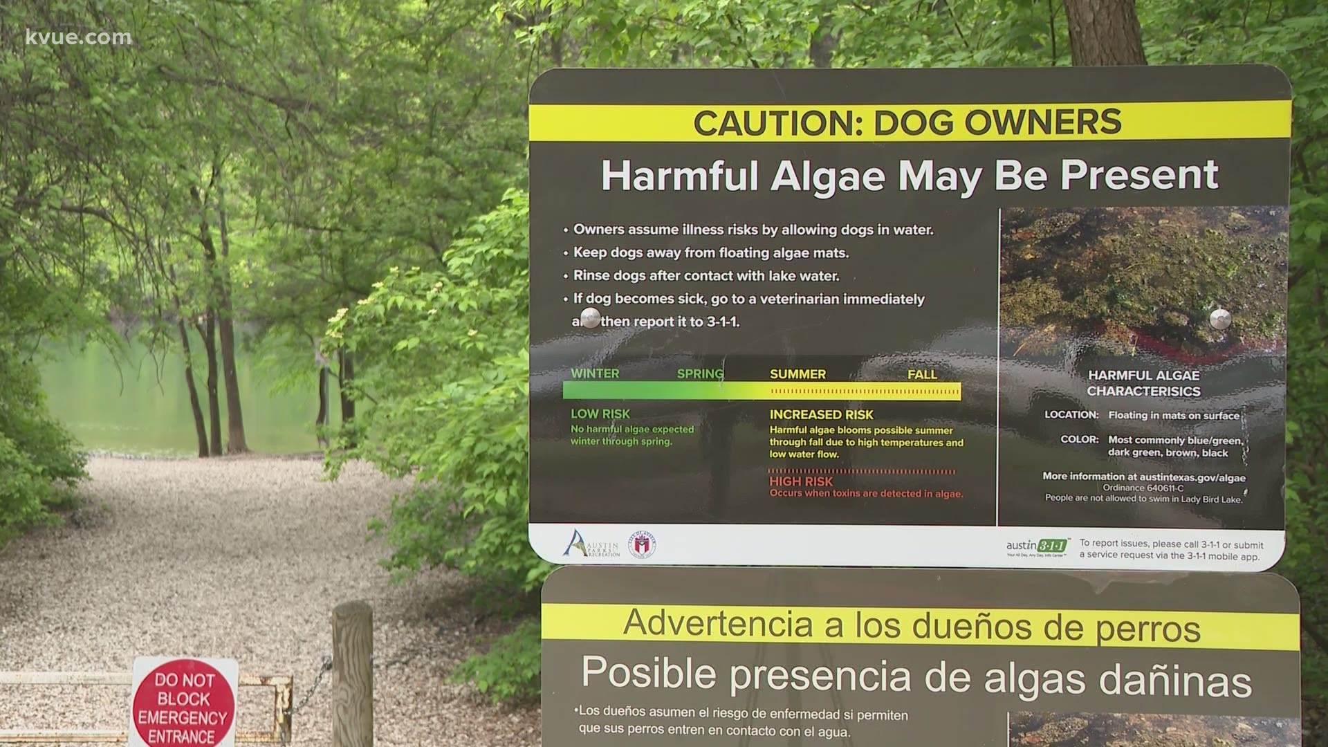 Toxic algae have been detected in local waterways – earlier than it has been in the past. The KVUE Defenders discovered booming growth may be part of the problem.