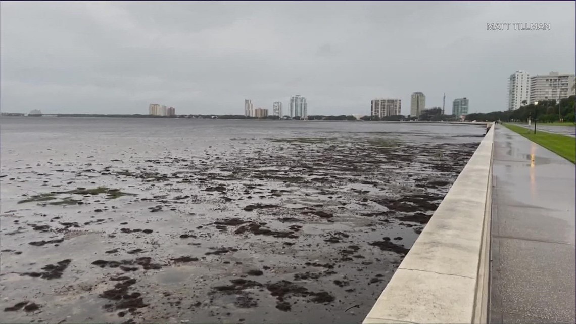 Why Did Hurricane Ian Suck Water Out Of Tampa Bay? | Kvue.com