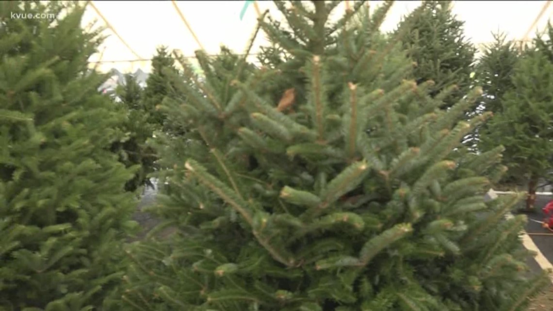 Is Austin feeling the reported national Christmas tree shortage?