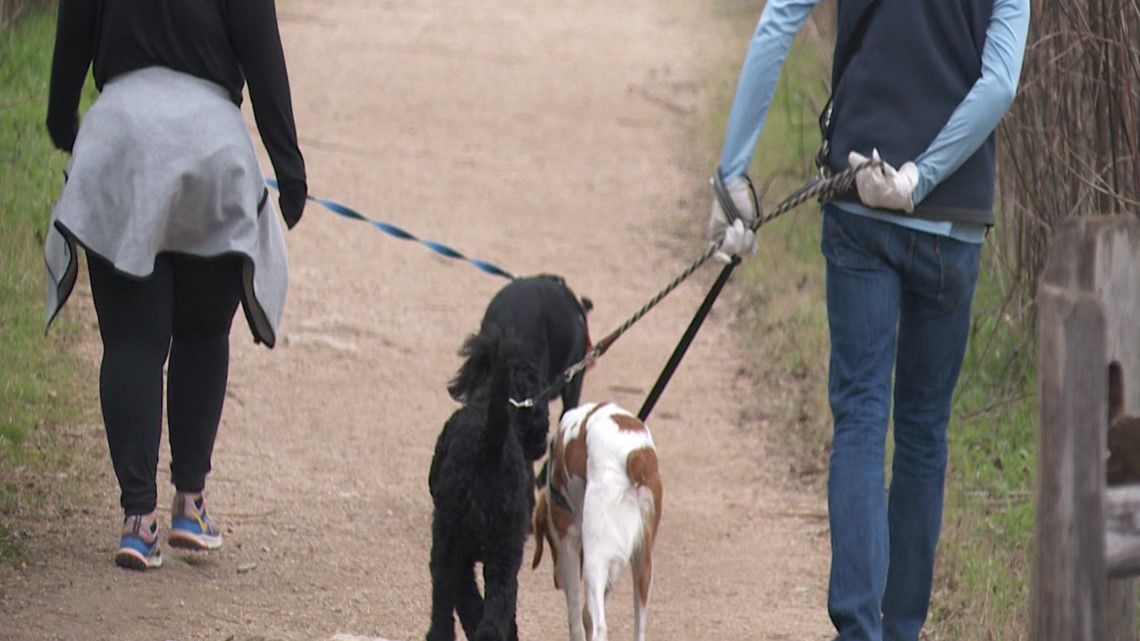 Offleash laws in Austin parks not followed