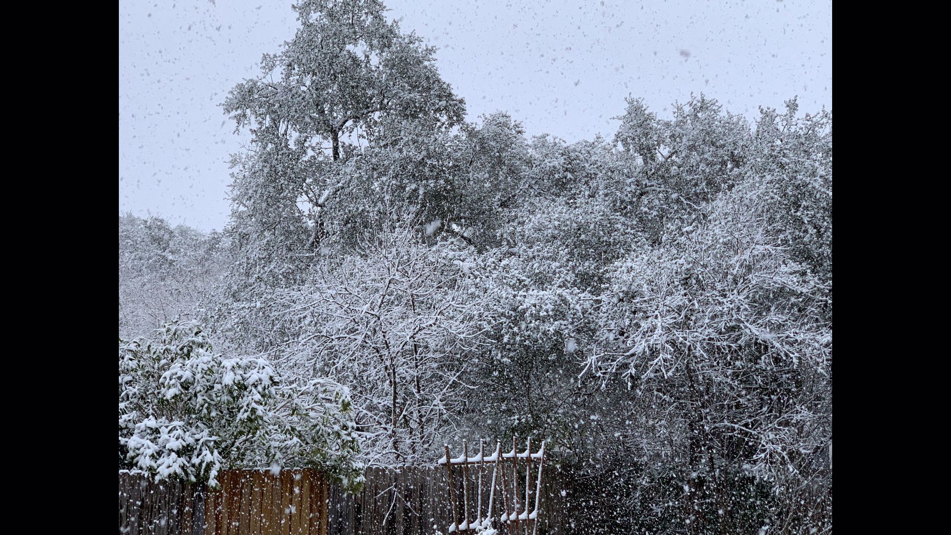 Austin area snowfall totals, Jan. 10, 2021