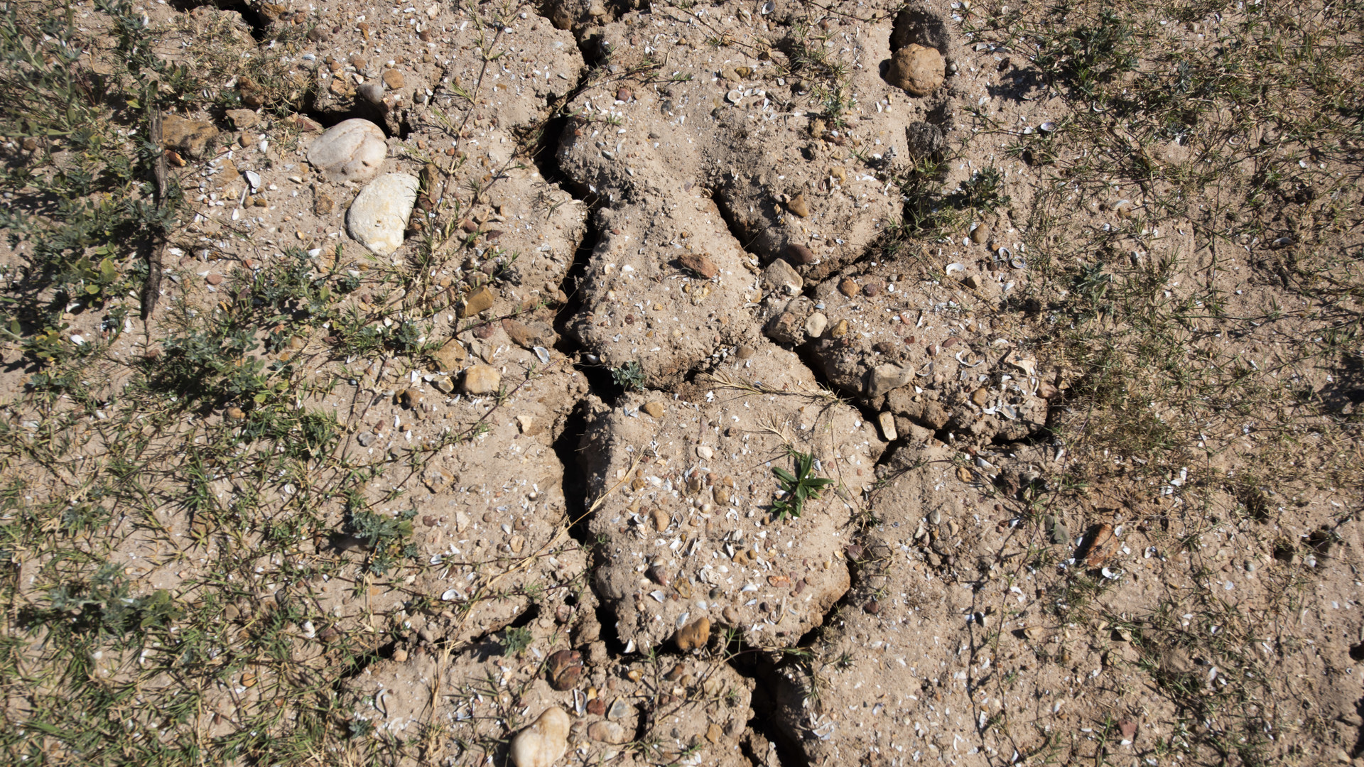 With more than 1,000 people moving to Texas each day, plus new businesses, state lawmakers are looking for more water supplies.