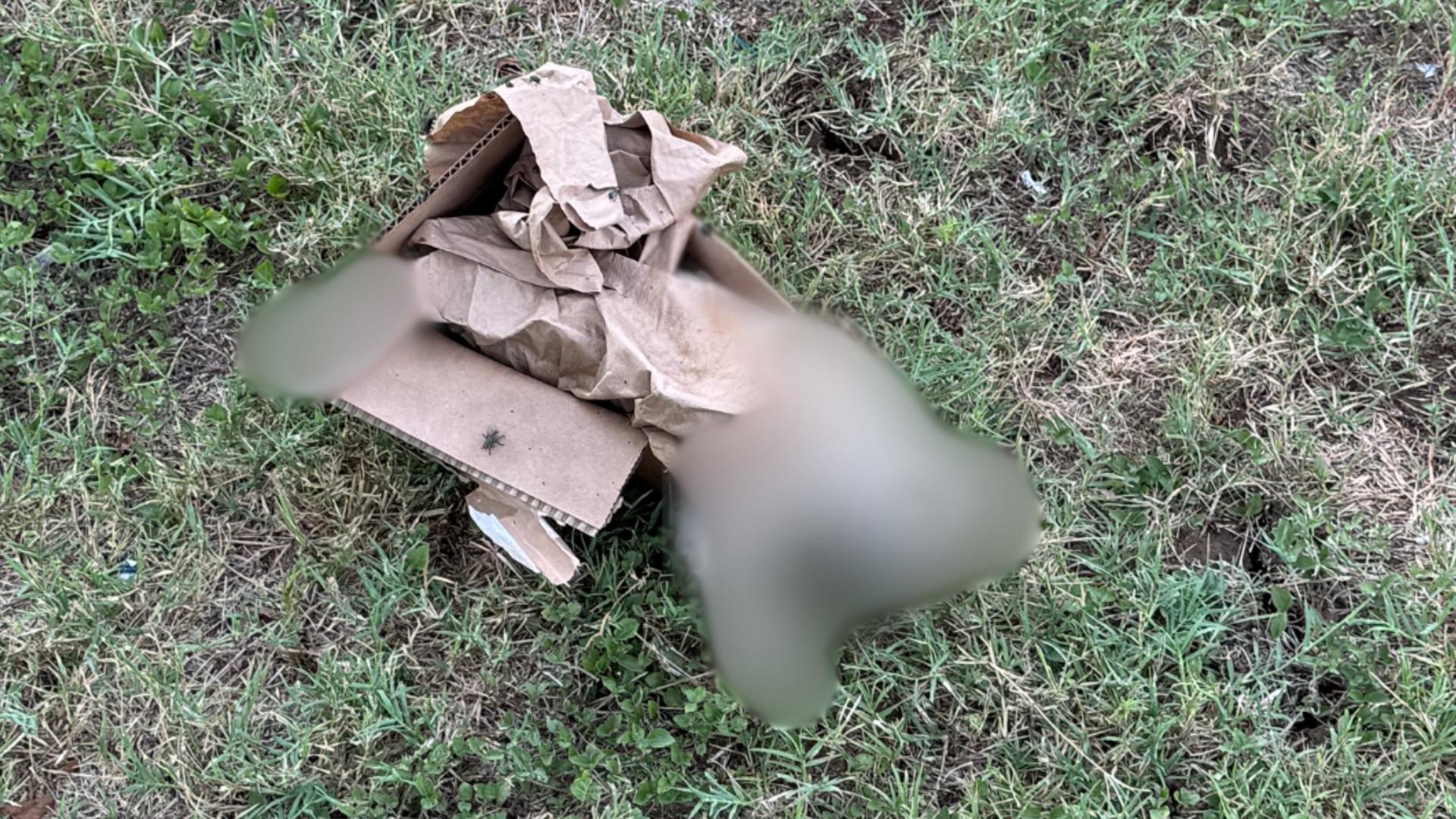 A neighbor near Colony Park says the second dead cat placed in his yard was found in a box and covered in flies.