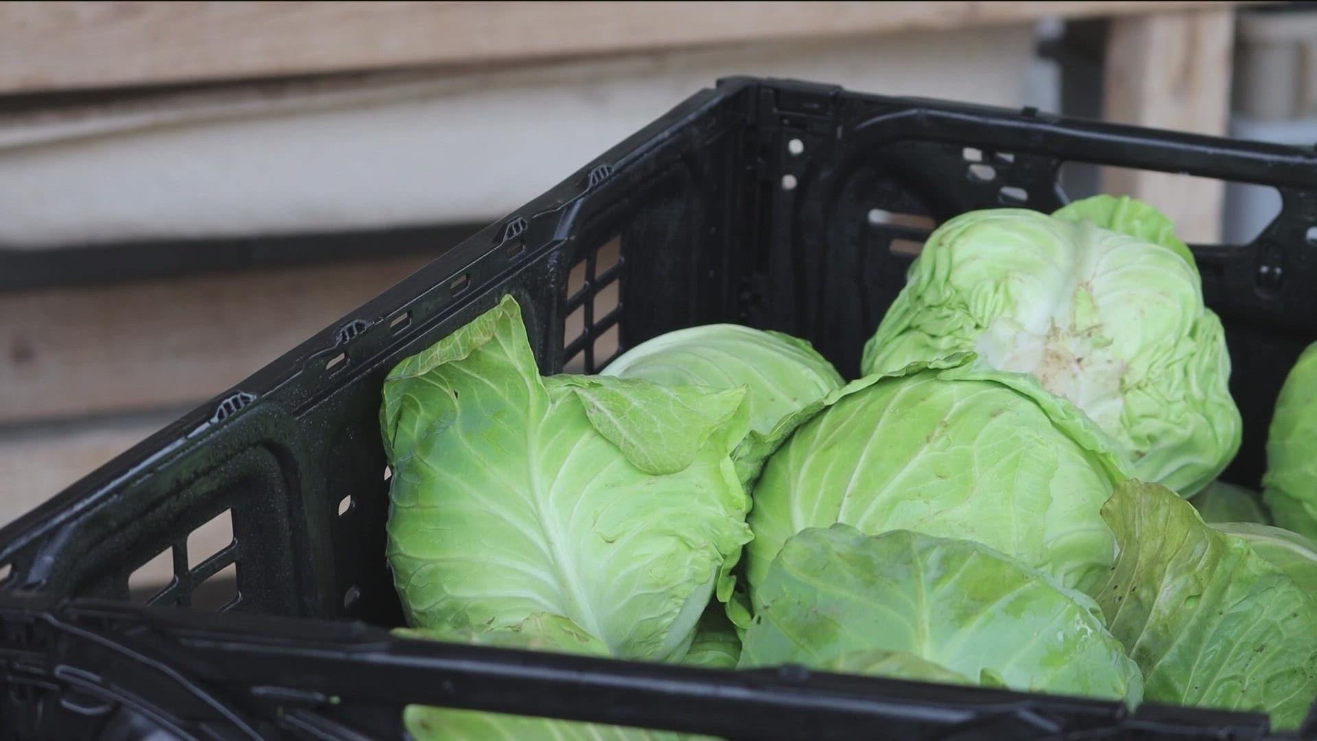 As the holiday season approaches, demand at food pantries is at an all-time high. Travis County commissioners approved $4.9 million to increase access to fresh food.