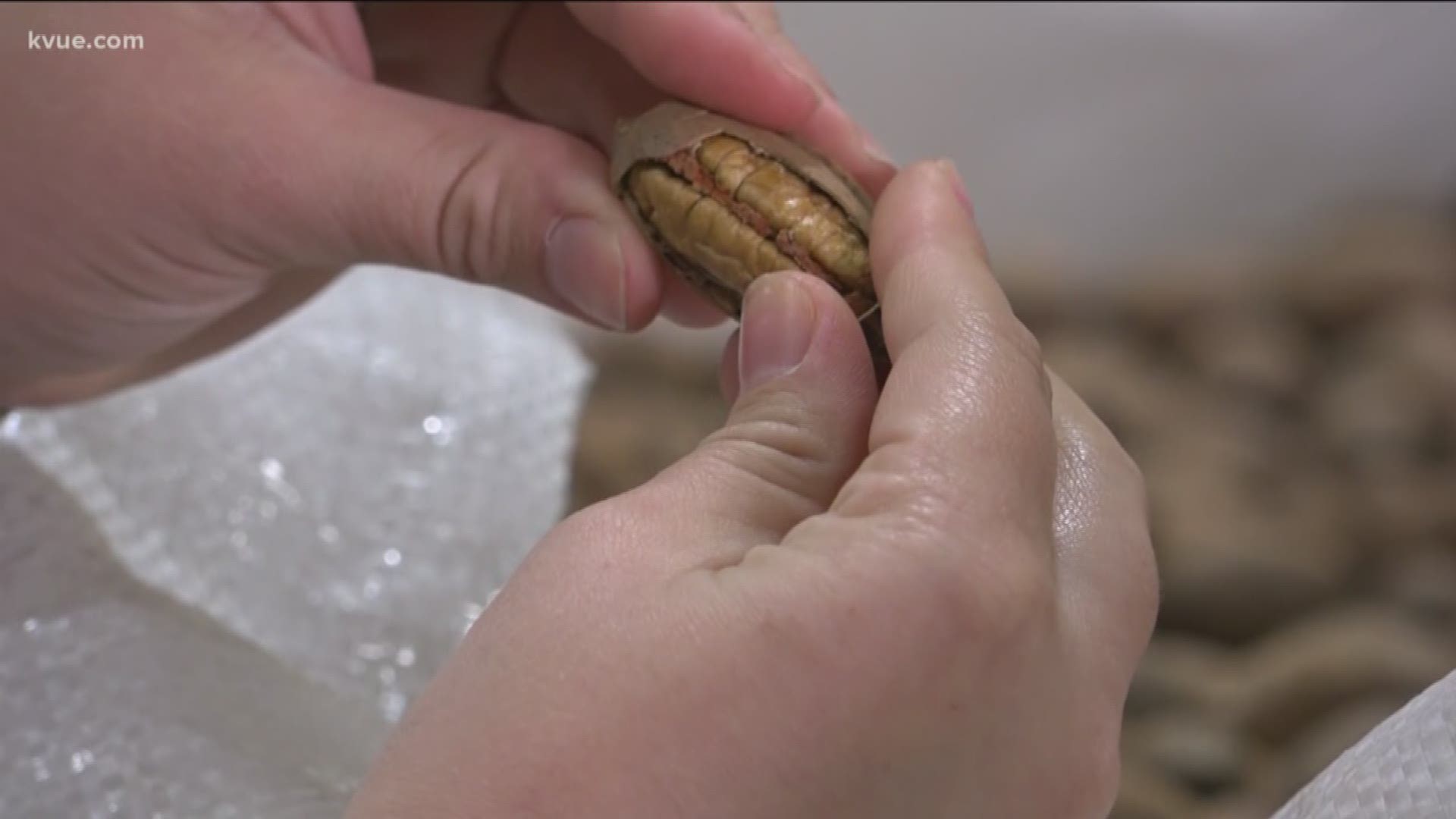 April 14 is National Pecan Day, and there's a company in Central Texas that has been celebrating since last week.
