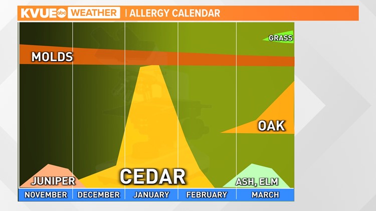 Cedar pollen returns to Central Texas