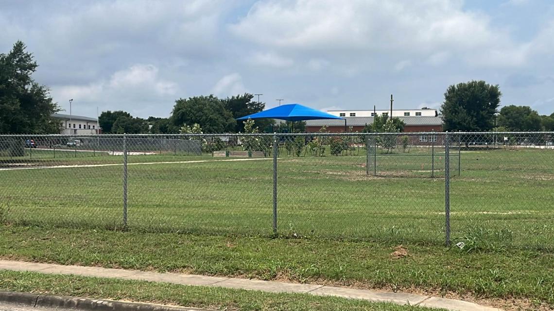 Austin PD Bomb Squad responds to suspicious package - Vimarsana News
