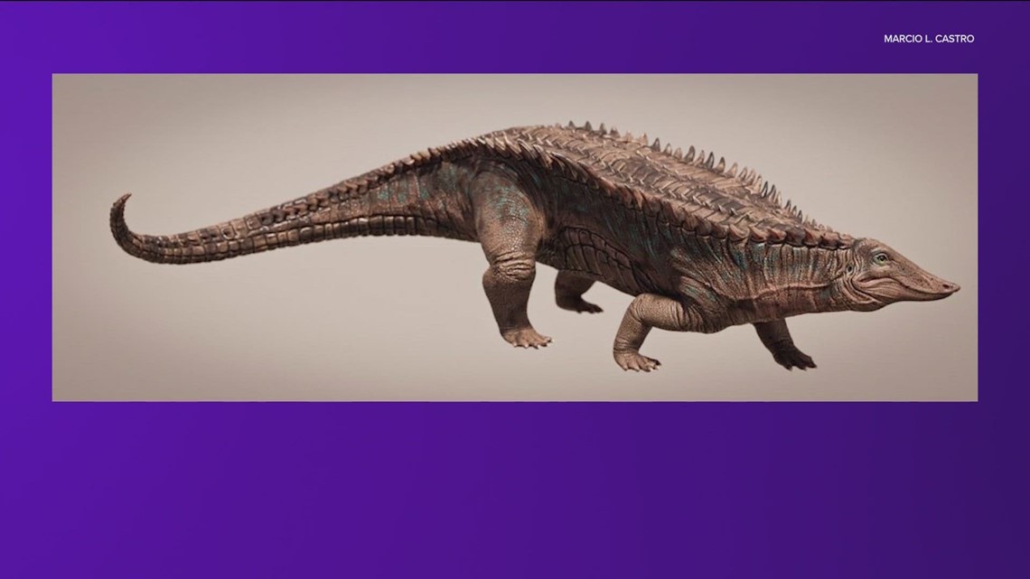 UT Austin researchers identify new crocodile ancestor | kvue.com