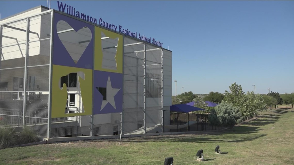 Williamson County Regional Animal Shelter creates 'preventing euthanasia' list for dogs needing new homes - Vimarsana News