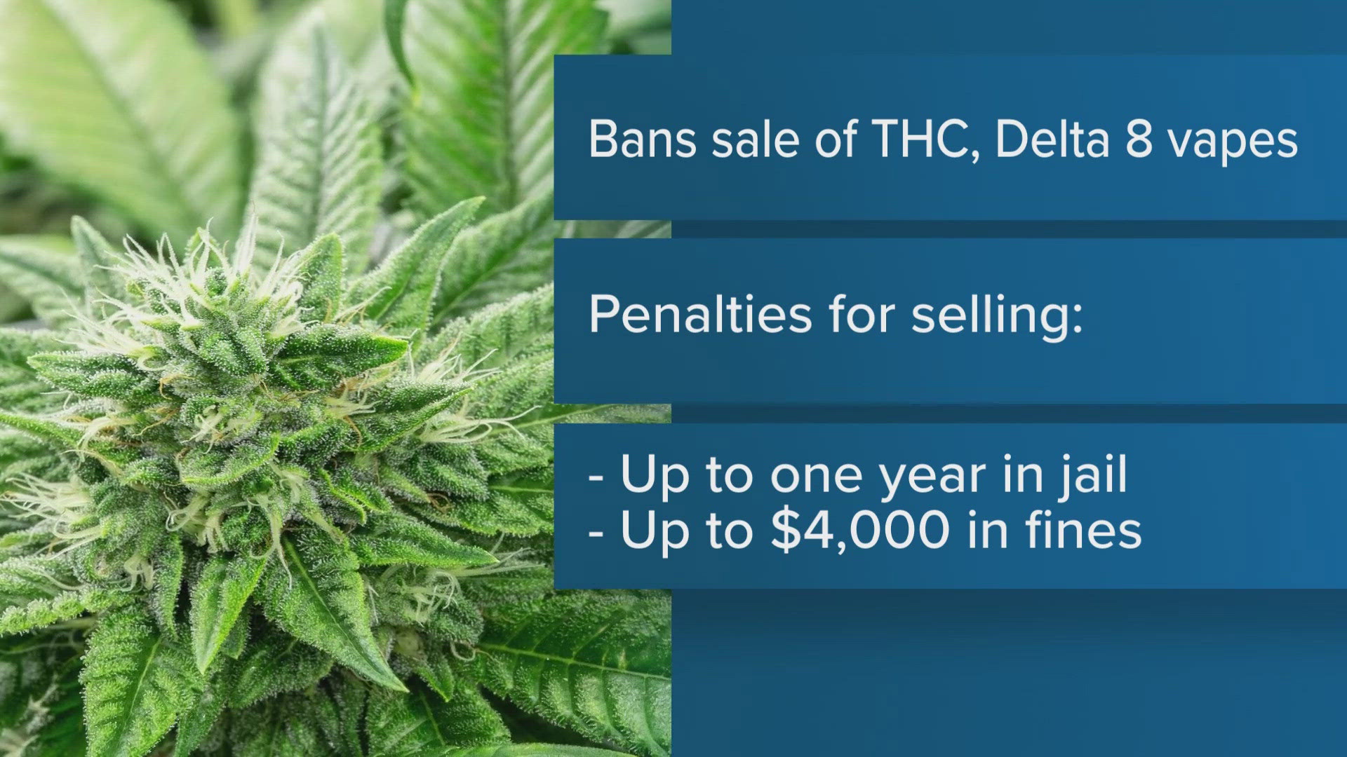 texas vape ban Texas Vape Ban 2025: What You Need to Know About the New THC and Vape Laws