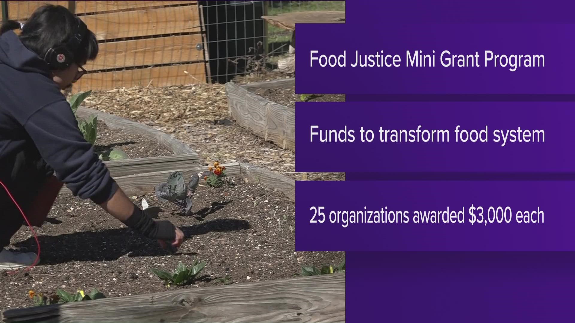 The City of Austin has given 25 organizations grants to help fight food insecurity.