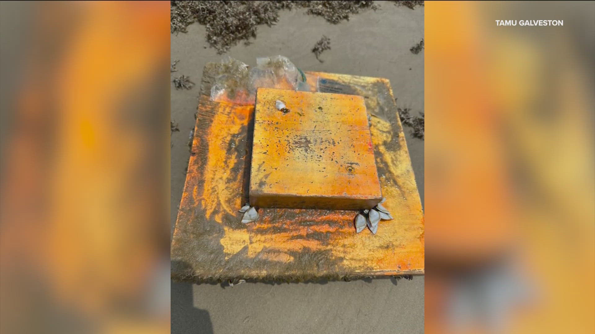 These orange wooden blocks, equipped with GPS satellite tracking capability, have been found washed up on some southeast Texas shores.
