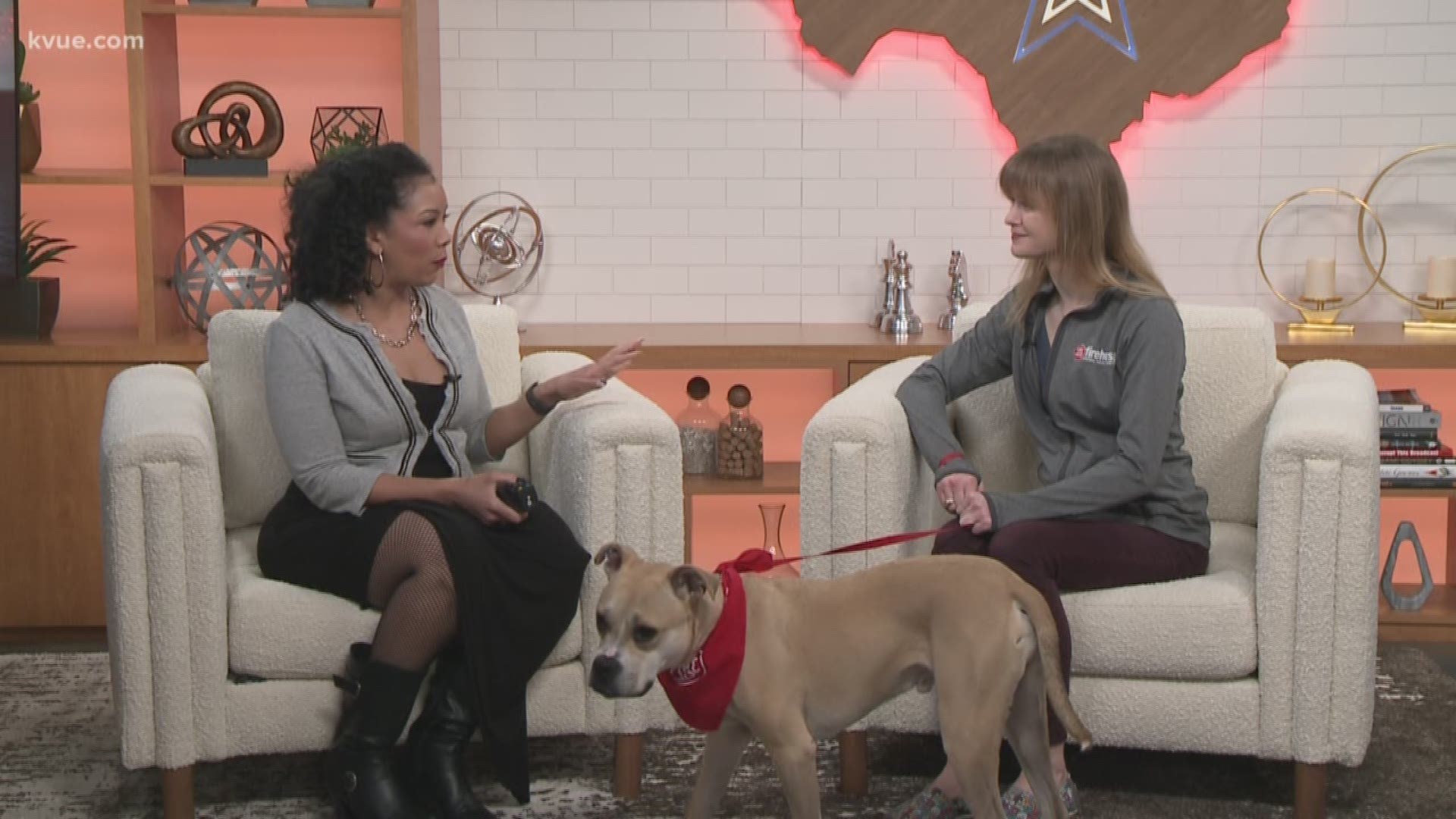 Dr. Sara Moreman, who is a veterinarian at Firehouse Animal Health Center in Round Rock, stopped by KVUE to talk about the issue.
