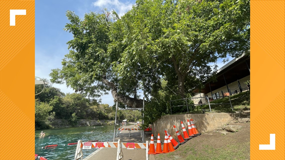 奥斯汀公园和娱乐部将在巴顿泉池为一棵树举办“生命庆典”仪式
