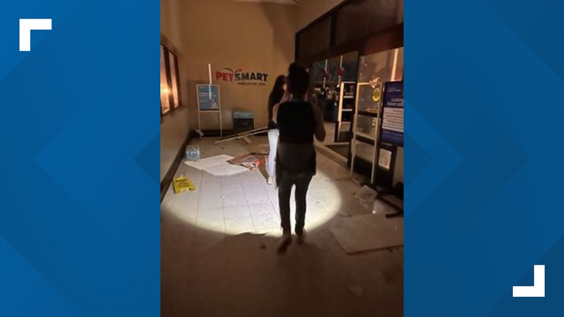 Dogs saved from Petsmart in Round Rock after tornado takes roof