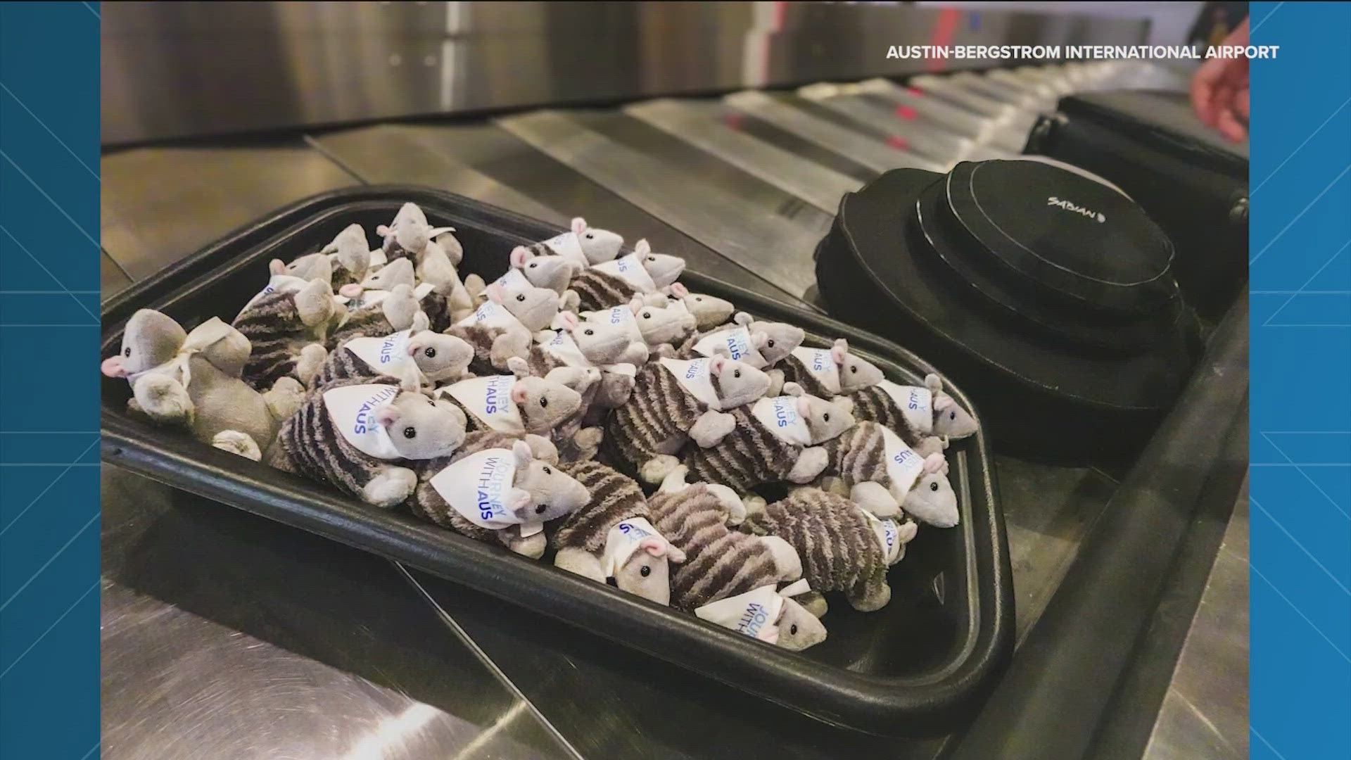 The "Armie" stuffed animals were found in a bin at a baggage claim carousel. 