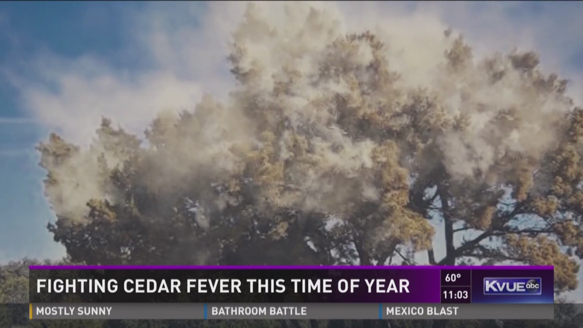 Fighting Cedar Fever this time of year