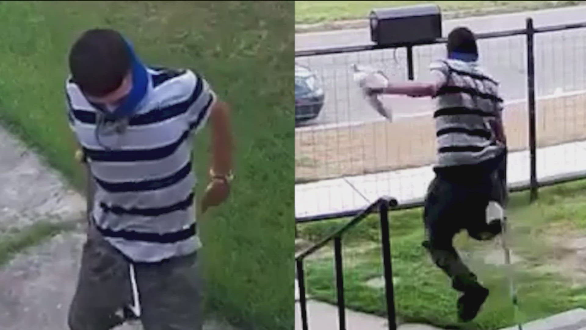 The San Antonio Police Department is currently on the look out for the porch pirate, who was caught on camera stealing various packages.