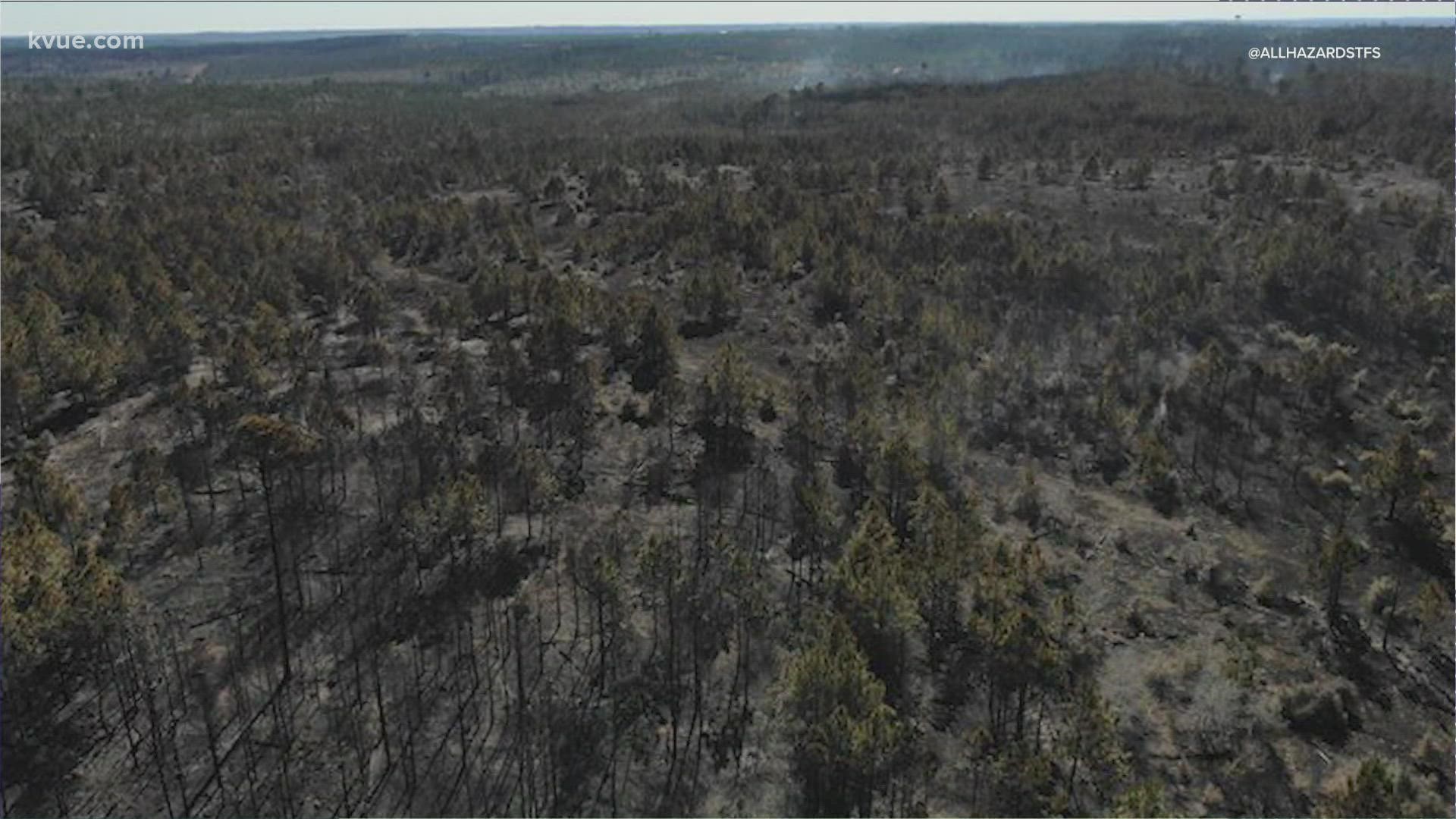 A panel reviewed the prescribed burn that caused Bastrop Rolling Pines fire. TPWD hosted a town hall for Bastrop residents.