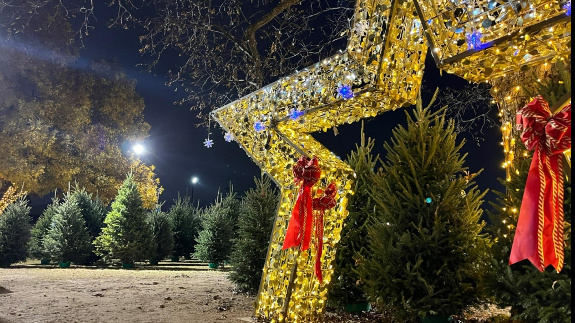 Four million Christmas trees are sold in Texas each year, and there's been growing demand for them since the pandemic.