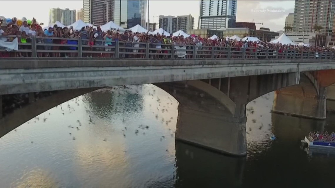 Bat Fest returns to Austin