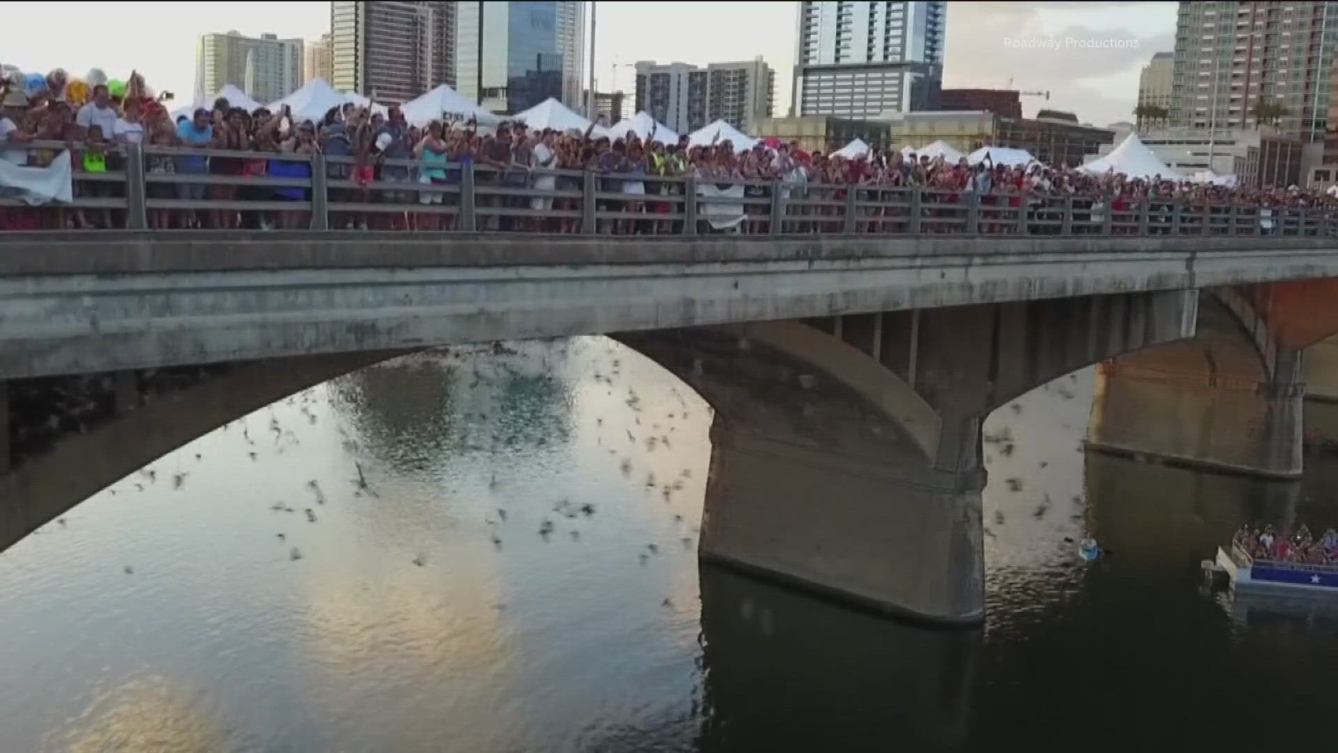 This weekend, Austin's Bat Fest returns. The Congress Avenue Bridge will be blocked off throughout the day as thousands of people come to see the bats.