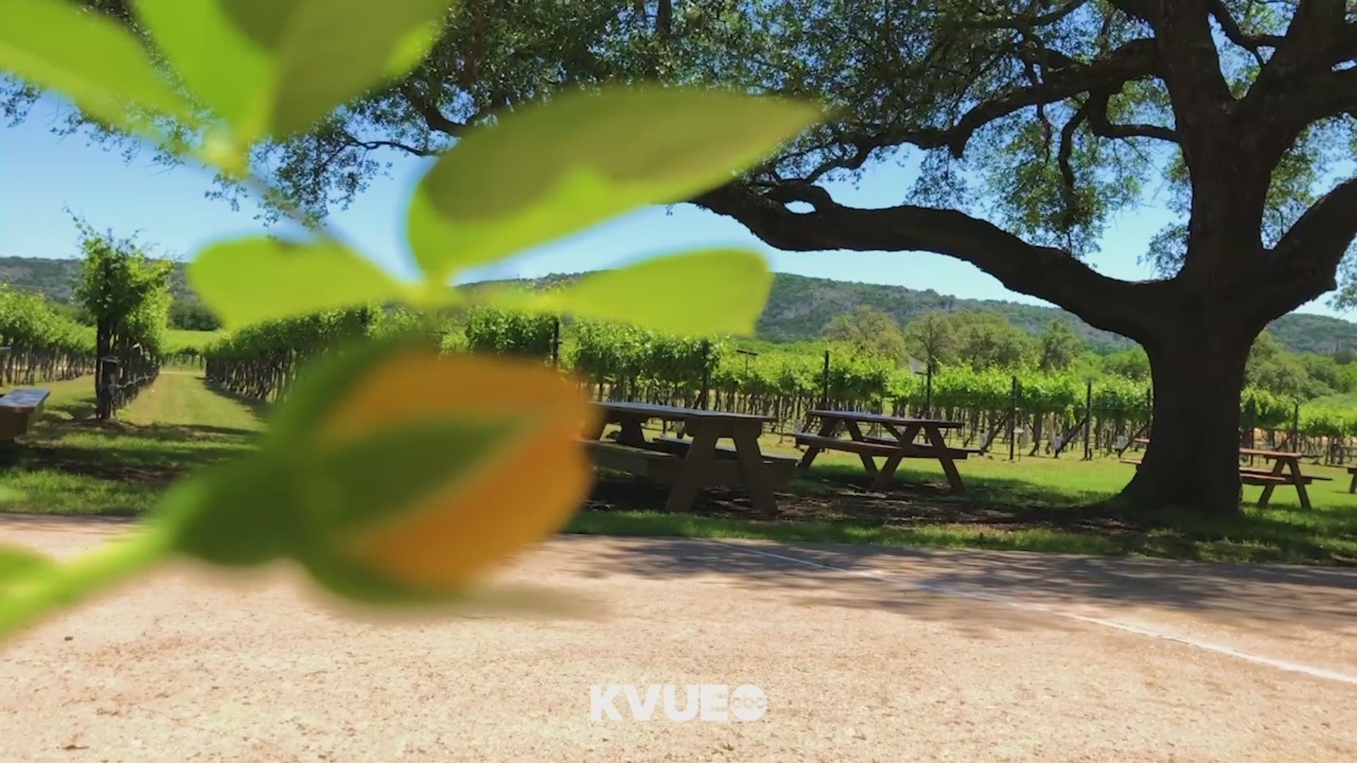 Pay a visit to this Texas Hill Country winery and reminisce about your favorite times.