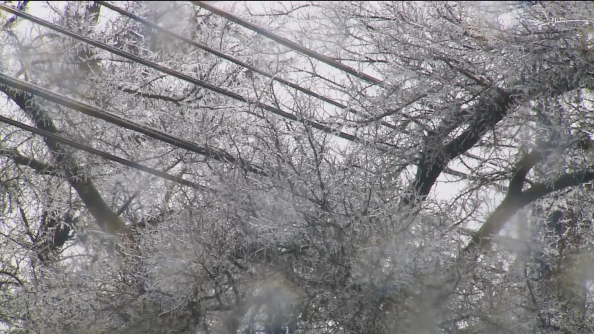 Austin Energy may soon have more tree trimming companies working to clear powerline paths. This comes after a recent ice storm left thousands in the dark.