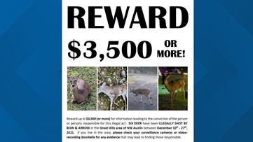Reward offered to find shooter after six deer shot in Northwest Austin neighborhood
