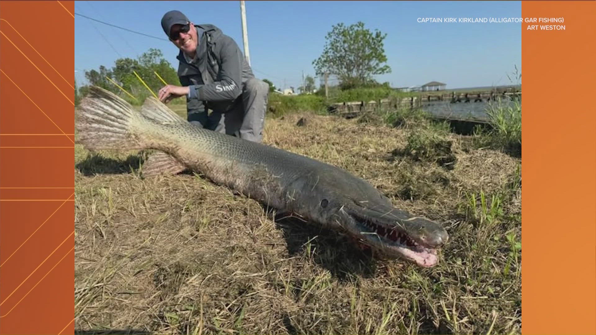 A photo of the 7-foot-3 fish was posted to social media after it was caught by two fishermen. 