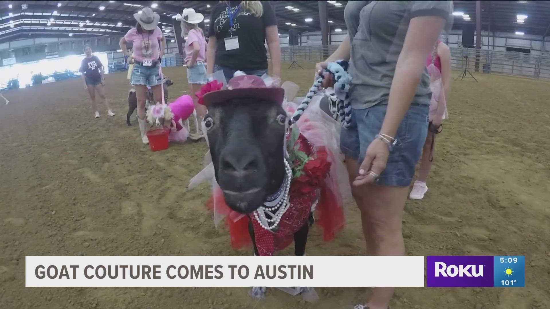 Some four-legged friends took to the runway in the Hill Country on Saturday. KVUE's Melia Masumoto has more on the goat fashion show fundraiser.