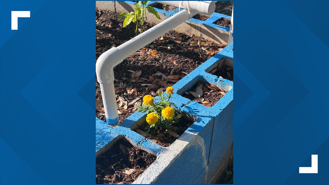 PHOTOS Pearson Ranch Middle School students learn about Earth in